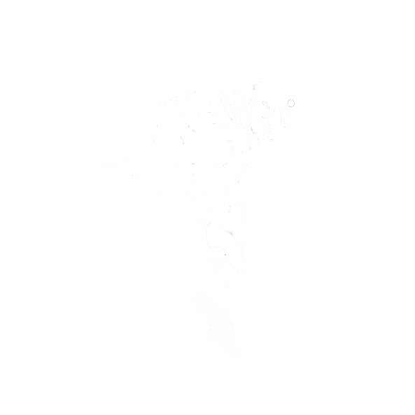 Kring.fo Logo